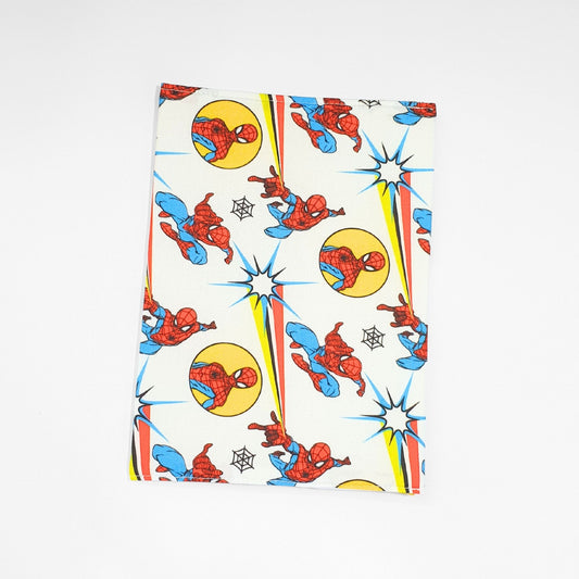 Plunket Book Cover - Spider